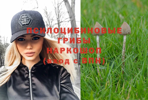 наркотики Абаза