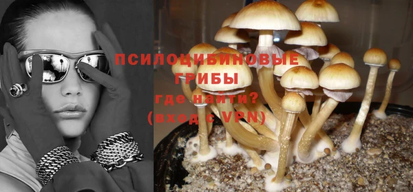 гидропоника Абдулино