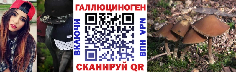 Псилоцибиновые грибы MAGIC MUSHROOMS  Ханты-Мансийск 